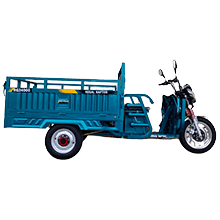 rg24000